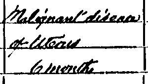 Death Certificate 1895